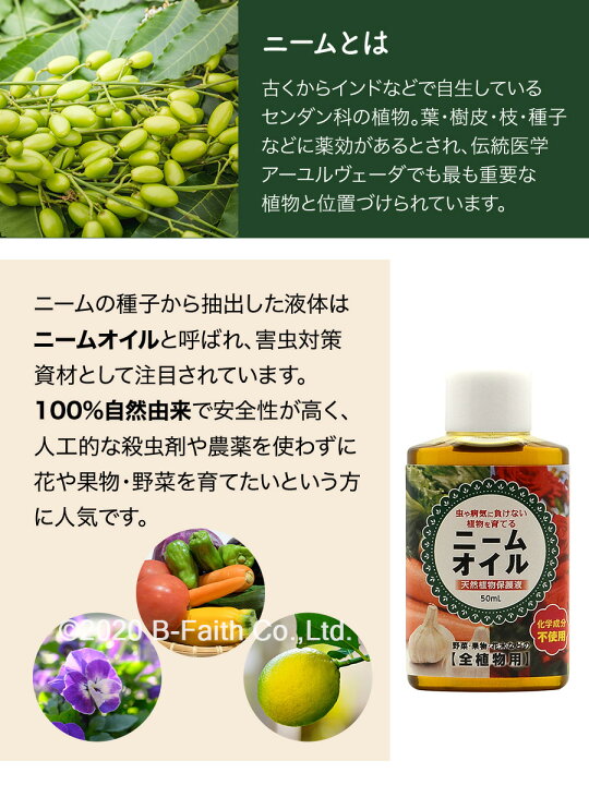 楽天市場 ニームオイル 50ml ニーム 農業 農薬 虫除け 業務用 原液 園芸 薔薇 害虫対策 無農薬 植物の保護 土壌改良に 畑 虫対策 アブラムシ ガーデニング 野菜 トマト きゅうり 雑貨イズム