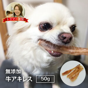 Y ALX 50g S Y   ۓۂ h~ _CGbg     W[L[ K 