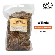 赤粟の穂 1kg 粟穂 粟 インコ 小鳥 餌 文鳥 鳥 粟の穂 えさ エサ フード 天然 無農薬 無添加 小動物 玉 …