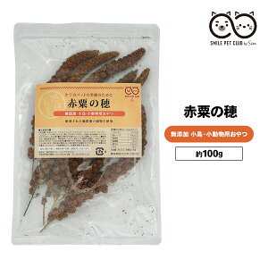 Ԉ̕ 100g   CR  a GT    t[h _ VR Y   {[ ZLZC  u`E JiA nX^[ X  t[h SMILE PET CLUB