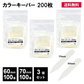 カラーキーパー プラスチック 200枚 3個セット 60mm 70mm ワイシャツ 襟 襟芯 プレート 板 型崩れ 防止 カラーステイ