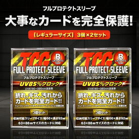 TCG フルプロテクト スリーブ 3枚入 2個セット トレーディングカード トレカ 収納 ケース アクリル フレーム 保護 ポケモン 遊戯王 デュエマ