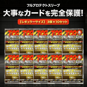 TCG tveNg X[u 3 10Zbg g[fBOJ[h gJ [ P[X AN t[ ی |P VY fG}