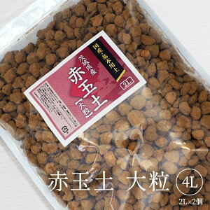 Y d ԋʓy 嗱 4L(2L×2j {y uhp ϗtA Ԗ ؂Ȃ