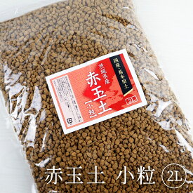 楽天市場 赤玉土の通販