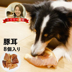 豚耳 8枚 犬のおやつ 豚の耳 犬 おやつ 丸呑み 防止 ダイエット 体 に いい ガム ジャーキー 大型犬 ブタミミ ガム 歯石除去 歯磨き ハミガキ 口臭 小型犬 中型犬 ぶたみみ 豚ミミ ぶた耳 ブタ