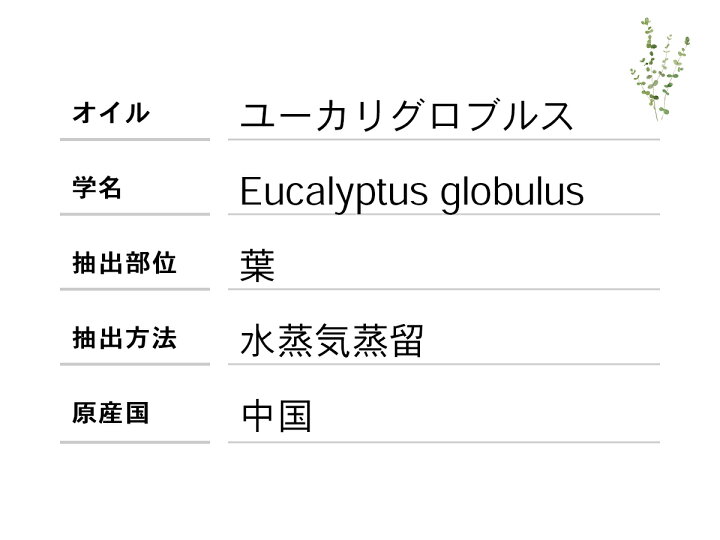 楽天市場 天然100 ユーカリ グロブルス オイル 10ml アロマオイル ユーカリプタス 精油 ダニ対策や虫よけ マスクにも 雑貨イズム