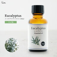 天然100% ユーカリ グロブルス オイル 30ml アロマ アロマオイル エッセンシャルオイル ユーカリプタス …