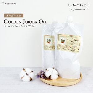Y  S[f zzoIC I[KjbN 500mL(250mL ×2jlߑւ pE`^Cv ቷ }bT[W {fB[ IC XLPA nhCh