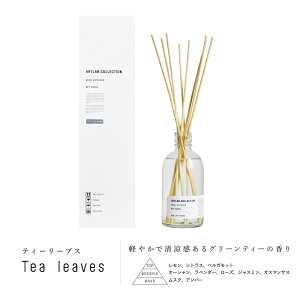 A[g{ RNV [hfBt[U[ 280ml { XeBbN 8{ [tOX A}fBt[U[ CeA  l ̍ Mtg v[g