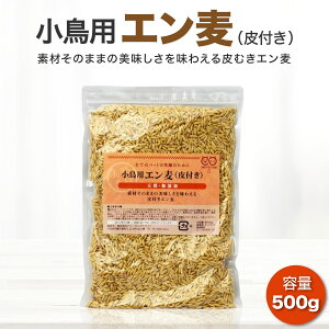 G 500g CR    a  ̉a ނ  GM t `` fO[ nX^[ ybg L K v[[