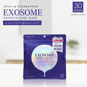 GN\\[ v~A}XNPA 30 I[C}XN ϐ t et pbN  tFCX}XN V[g}XN ێ