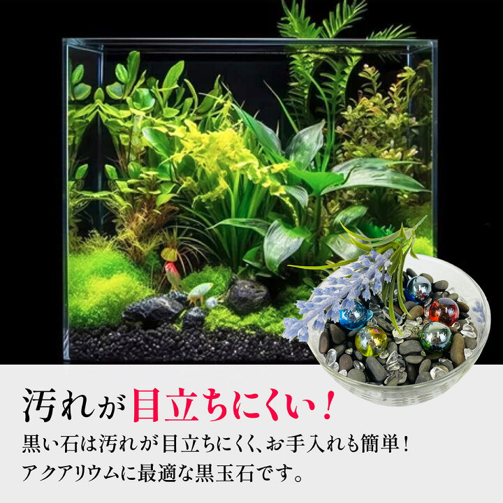 楽天市場】アクアリウム用 黒石 3kg 5mm~10mm 水槽用 底石 メダカ 金魚 