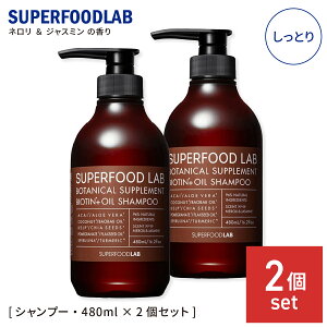 X[p[t[h{ XJv{IC Vv[ Ƃ {g{ 480ml 2Zbg Y fB[X SUPERFOOD LAB XJvVv[ mVR I[KjbN