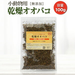 yܖ2025N12zIIoR 100g Y t t  ETM `` fO[ nX^[  H a SMILE PET CLUB