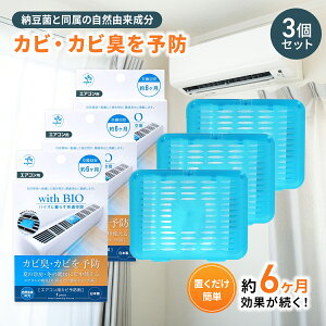 ビッグバイオ with BIO エアコン用 3個セット カビ 予防剤 約6ヶ月 1台分 カビ臭 カビ対策 防カビ剤 化学薬品不使用 天然由来成分 空調 快適 空間 梅雨 湿気