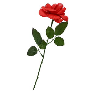  KN o 1{    sN Be  ͂Ȃ ΂ tFCNt[ ͂Ȃ ͂Ȃo 4F CeA a t  Be p[eB[  fR[V 