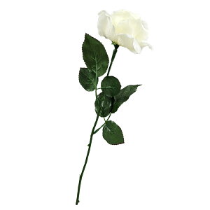  KN o 1{    sN Be  ͂Ȃ ΂ tFCNt[ ͂Ȃ ͂Ȃo 4F CeA a t  Be p[eB[  fR[V 