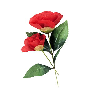 ΂  召2{Zbg   @tFCNt[  Vt  sv  rO X܃fBXvC a_ fUC ̍