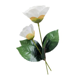 ΂  召2{Zbg   @tFCNt[  Vt  sv  rO X܃fBXvC a_ fUC ̍