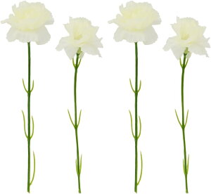  J[l[V  sN   ̓ Mtg t[AW CeA e[u ԑ 33cm sv