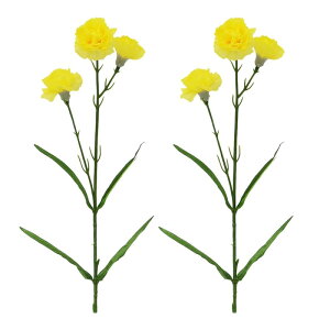  J[l[V  sN   ̓ Mtg t[AW CeA e[u ԑ 33cm sv