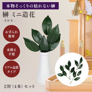 ͂Ȃ  (4Zbg) Ai^Cv  ~j     ~jTCY