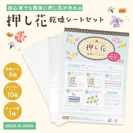 押し花乾燥シート  乾燥シート 6枚 クッションシート10枚 押花 乾燥 シート キット 押し花シート 生花 紅葉 落ち葉 ドライフラワー おし花 乾燥剤 乾燥材 押し花キット 保管シート 保存シート