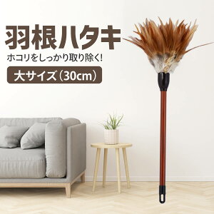 H ͂ 30cm Hn^L | | |p ق  zR   l` d  