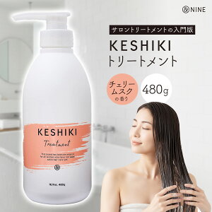 PVL KESHIKI g[gg 480ml `F[XN Tꔄ ei _[WC Y qΉ ێ ΍ wʂȂ߂炩 c