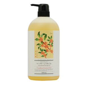 CXu uh }bT[WIC 1000ml {g A[OC LNZC Iׂ鍁 ێ  n { {fBIC ؍ g