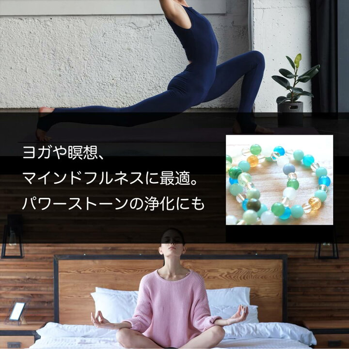 楽天市場】ホワイトセージ 浄化用 枝付き クラスター 約100g THE EARTH 