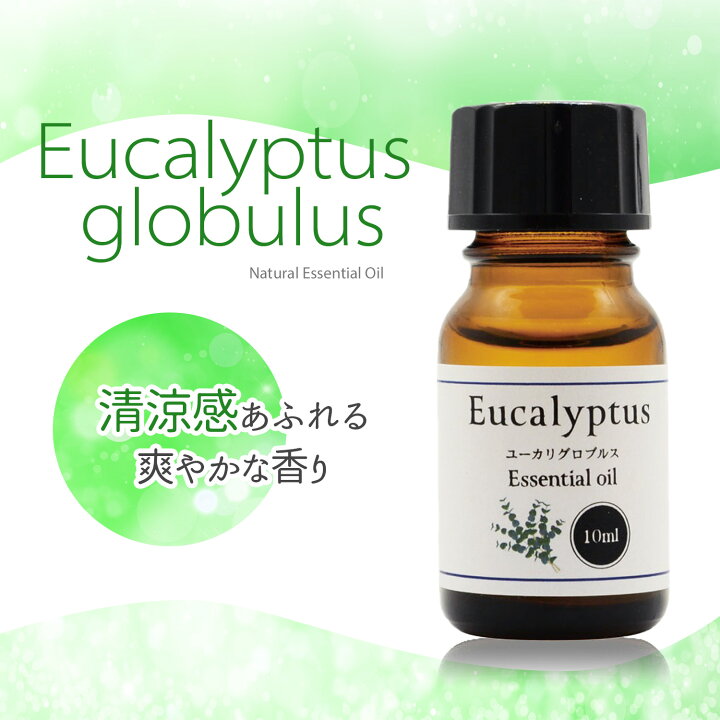 楽天市場 天然100 ユーカリ グロブルス オイル 10ml アロマ アロマオイル エッセンシャルオイル ユーカリプタス 精油 マスク ユーカリオイル アロマテラピー アロマセラピー 雑貨イズム