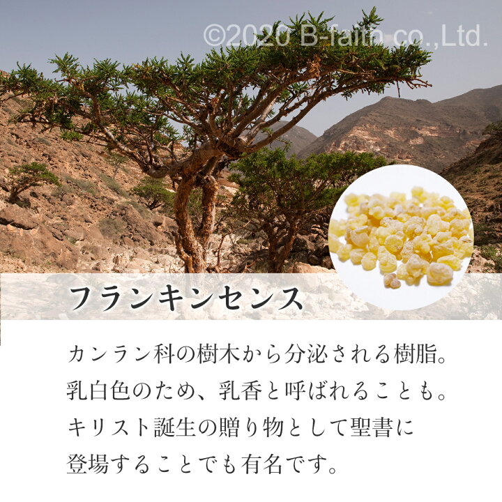 楽天市場】フランキンセンス オイル 10ml アロマ 精油 天然100 