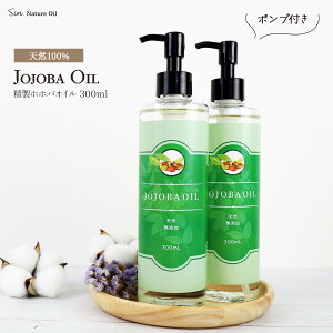 Y zzoIC 600ml i300ml×2Zbgj|vt ቷ }bT[W {fB[ IC XLPA nhCh Â LAIC