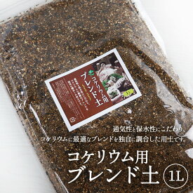 楽天市場 テラリウム 用土の通販