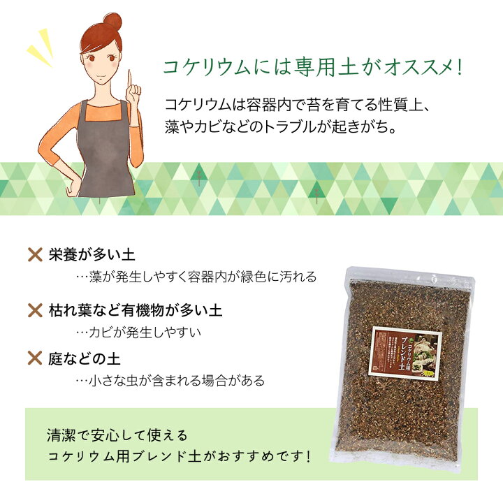 楽天市場 苔テラリウム 用土 1l コケリウム 土 コケリウムブレンド ソイル Soil 雑貨イズム 楽天市場 苔テラリウム 用土 1l コケリウム 土 コケリウムブレンド ソイル Soil 雑貨イズム