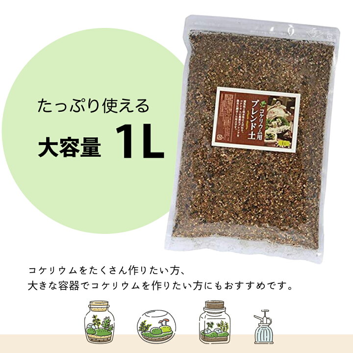 楽天市場 苔テラリウム 用土 1l コケリウム 土 コケリウムブレンド ソイル Soil 雑貨イズム