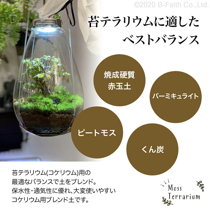 楽天市場 苔テラリウム 用土 コケリウム 土 2l コケリウムブレンド ソイル Soil 雑貨イズム