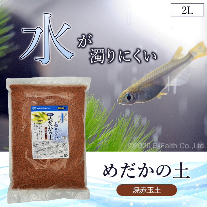 楽天市場 国産 めだかの土 2l 焼赤玉土 水が濁りにくい メダカのための土 めだか メダカ 金魚 熱帯魚 底床 底床材 雑貨イズム