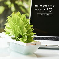 ミクニ ちょこっとオアシスプラスシー エコ加湿器 気化式加湿器 卓上 エコロジー おしゃれ ミスティガー…