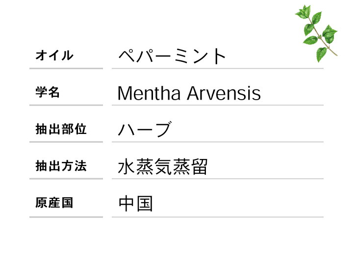ペパーミント 10ml 精油 エッセンシャルオイル アロマオイル 定番キャンバス