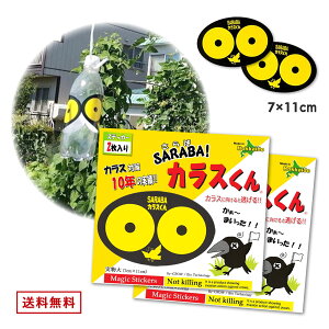 kCoCIZN^[ SARABAJX2RZbg i2?2j JX   ΍  h~ 悯 쏜 S~̂ď S~ x_ Xe[V lbg 