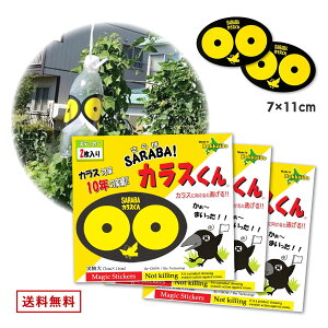kCoCIZN^[ SARABAJX3RZbg i2?3j JX   ΍  h~ 悯 쏜 S~̂ď S~ x_ Xe[V lbg 