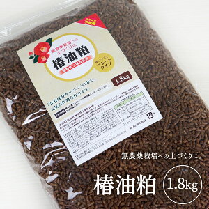 ֖ ybg 엿 1800g yǍ  n[u엿 T|j̗ ~~Y ~~Y΍ ~~Y쏜 y iNW K[fjO