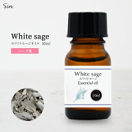 ホワイトセージ オイル 10ml 浄化用 精油 天然 100% 浄化 アロマ アロマオイル エッセンシャルオイル ホ…