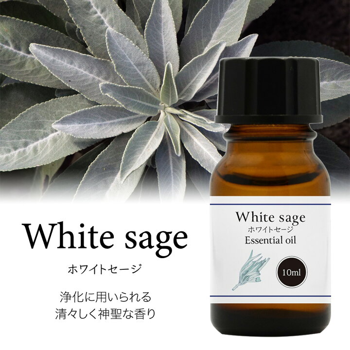 楽天市場】天然100% ホワイトセージ オイル 10ml 精油 エッセンシャルオイル アロマ アロマオイル ホワイトセージオイル スマッジング whitesage セイジ セージ : 雑貨イズム 楽天市場】天然100% ホワイトセージ オイル 10ml 精油 エッセンシャルオイル アロマ アロマオイル ホワイトセージオイル スマッジング whitesage セイジ セージ : 雑貨イズム