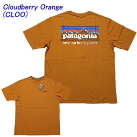 パタゴニア Tシャツ 定番 patagonia P-6 Mission Organic T-Shirt オーガニックコットン 半袖Tシャツ P6ロゴ ■品番 37529