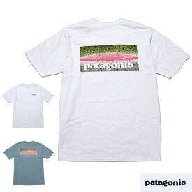 パタゴニア Tシャツ 半袖Tシャツ メンズ テイク ア スタンド レスポンシビリティー Tシャツpatagonia M'S TAKE A STAND RESPONSIBILI-TEE■品番 37591