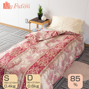 Hєzc _E 85 S 0.4kg D 0.6kg zc H HєӂƂ _EPbg ėp VO _u sNn u[n C nuE n ̃Lg { Y 